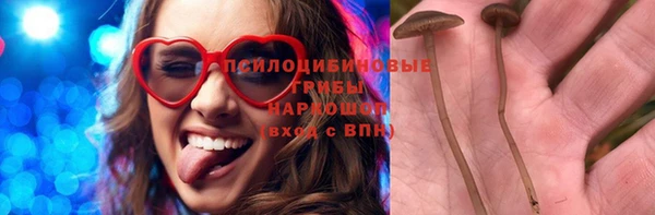 стаф Богородицк